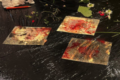 487506728_1484202942873779_3848685340213539599_n