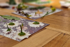 487566560_1484202522873821_2102686347307155545_n