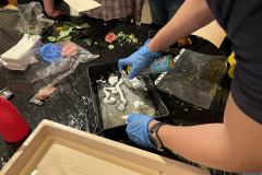 488371618_1484202689540471_5055710735472586083_n