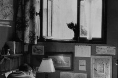 Willy Ronis, Vincent et le chat Paris, 1955.
