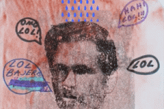 26